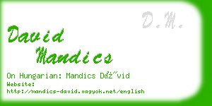 david mandics business card